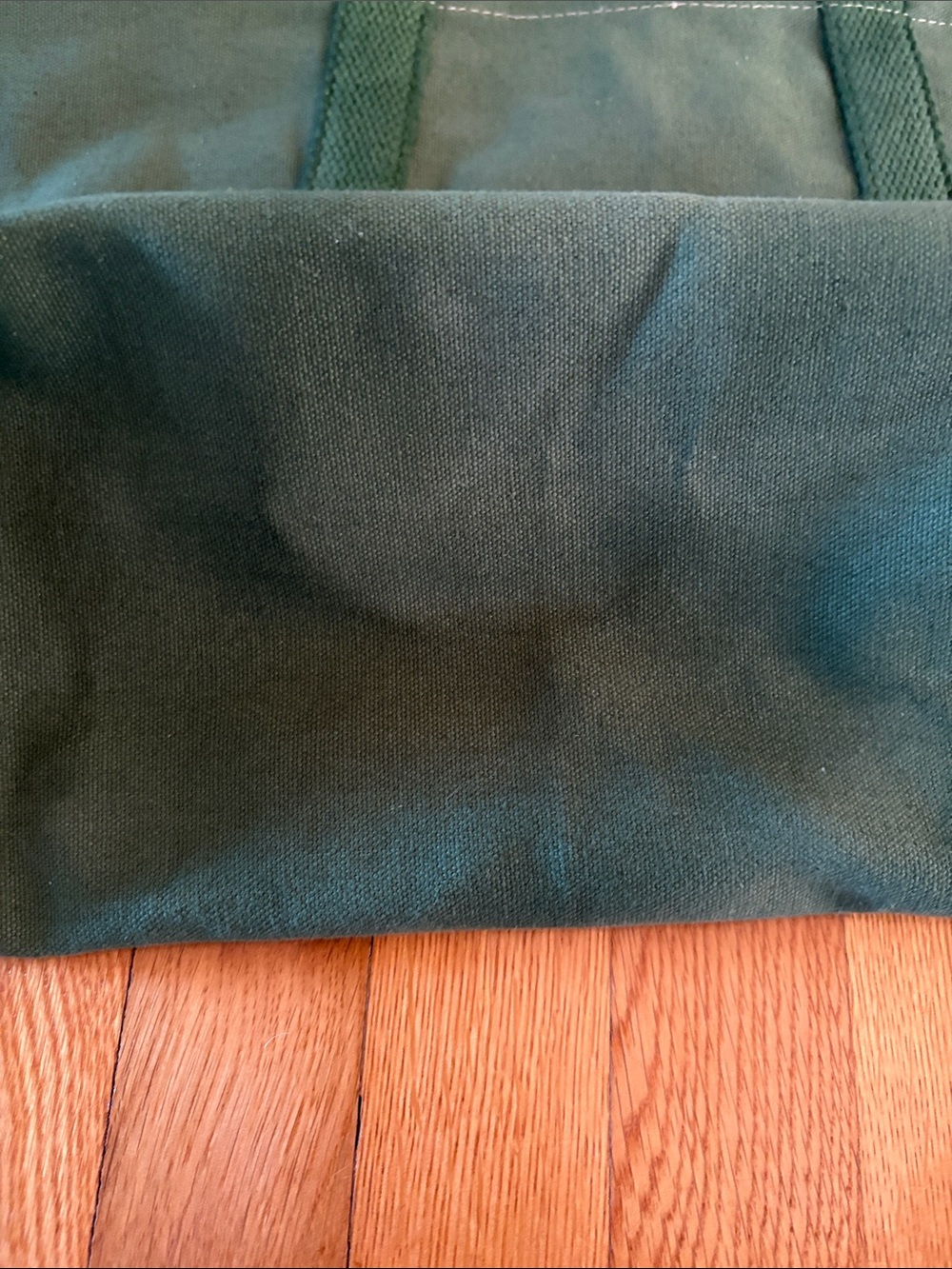 Immodest Cotton Small East West Tote in Pine - Picture 10 of 10